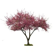 Tal-fjuri artifiċjali siġar tal-ħawħ Blossoms