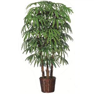 Artifiċjali tal-Palm Rhapis