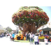 Siġra Ġiganta fil-Park tat-Tema ta 'Everland