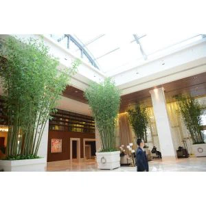 Siġra artifiċjali għolja tal-bambù